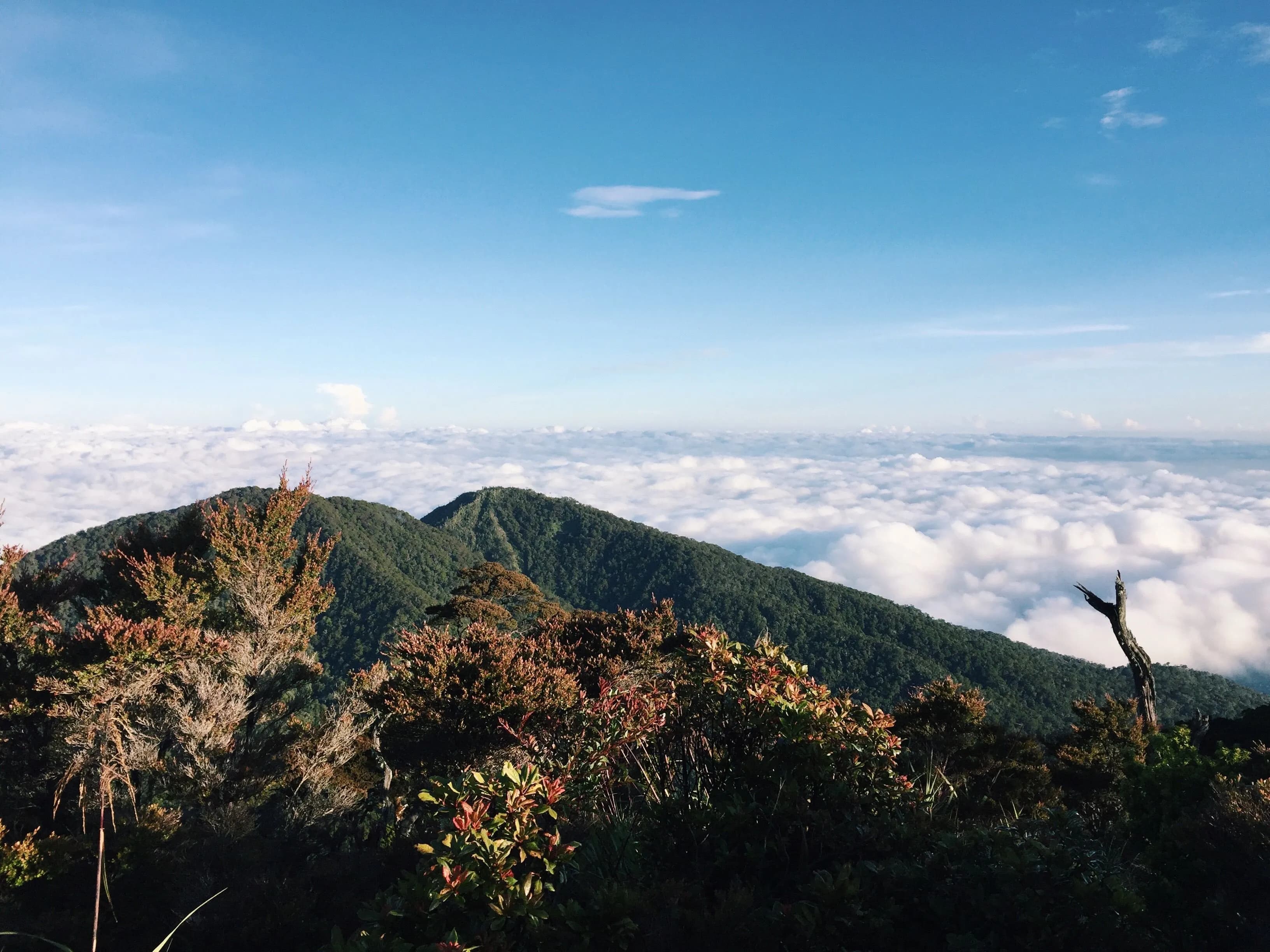 Scenic view of Mount Pulag mountain landscape